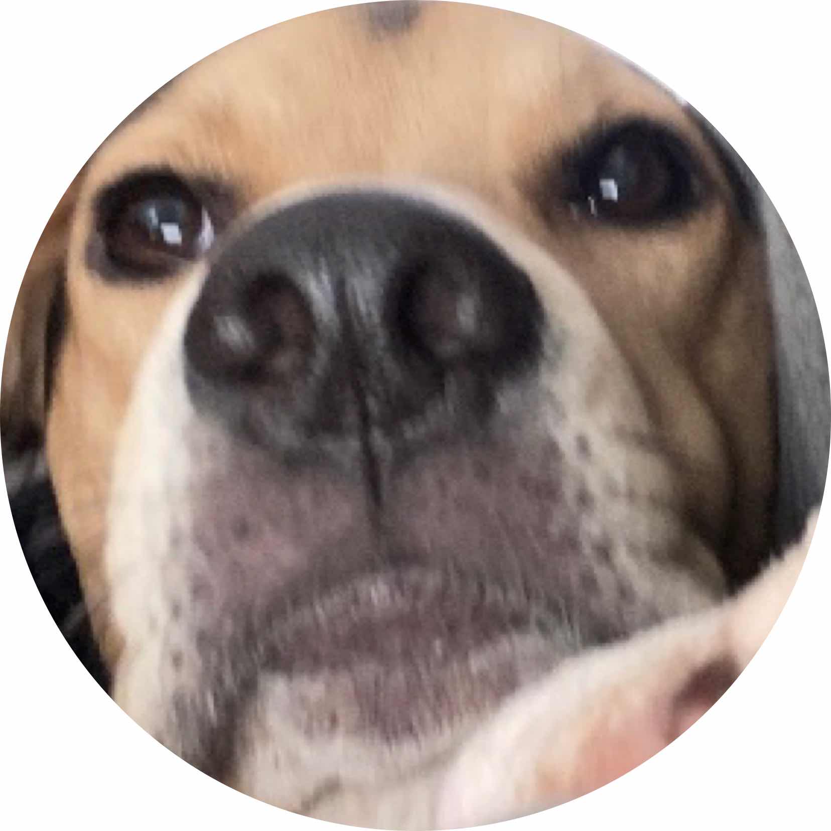avatar of user2432919271