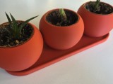 Planter Set V1-0
