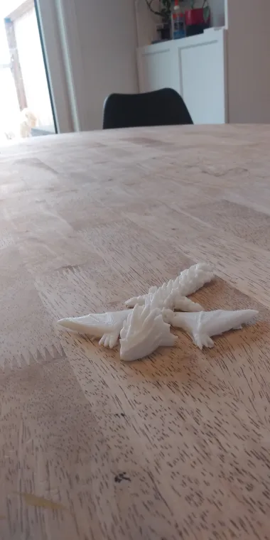 Amphiptere Flexible Baby Dragon-0