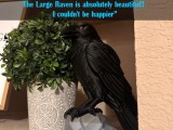 Raven Statue STL File – Gothic Crow Sculpture for 3D Printing-1