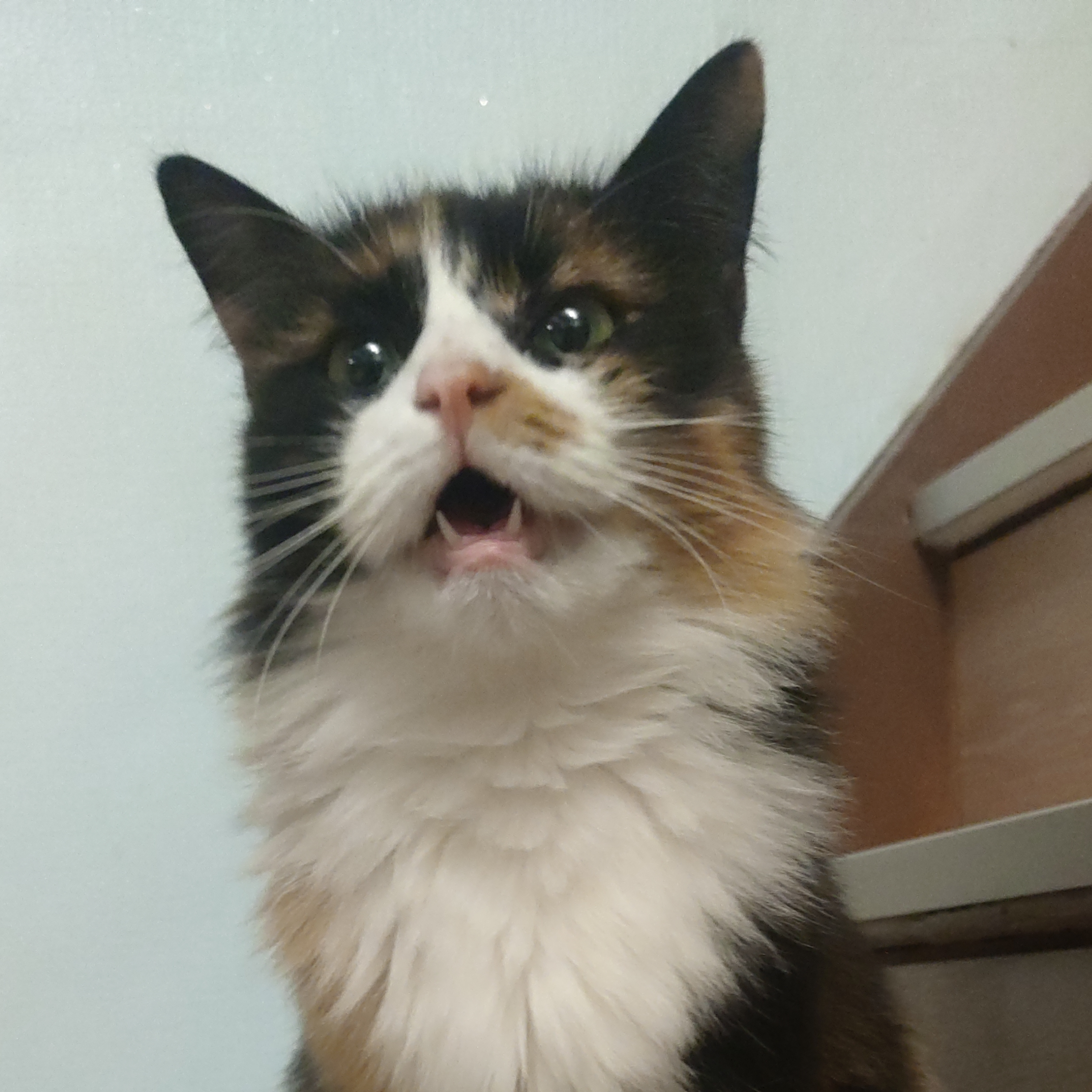 avatar of Fabienleouf