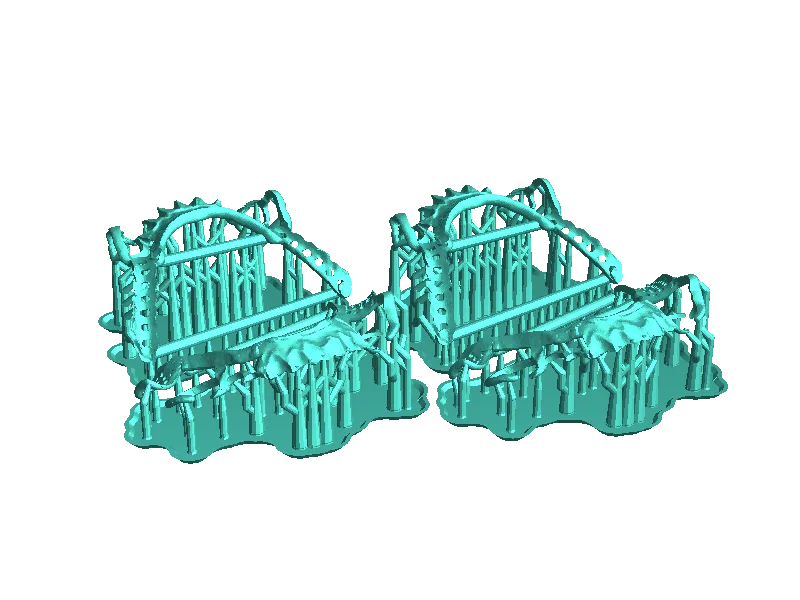 prothesis removible