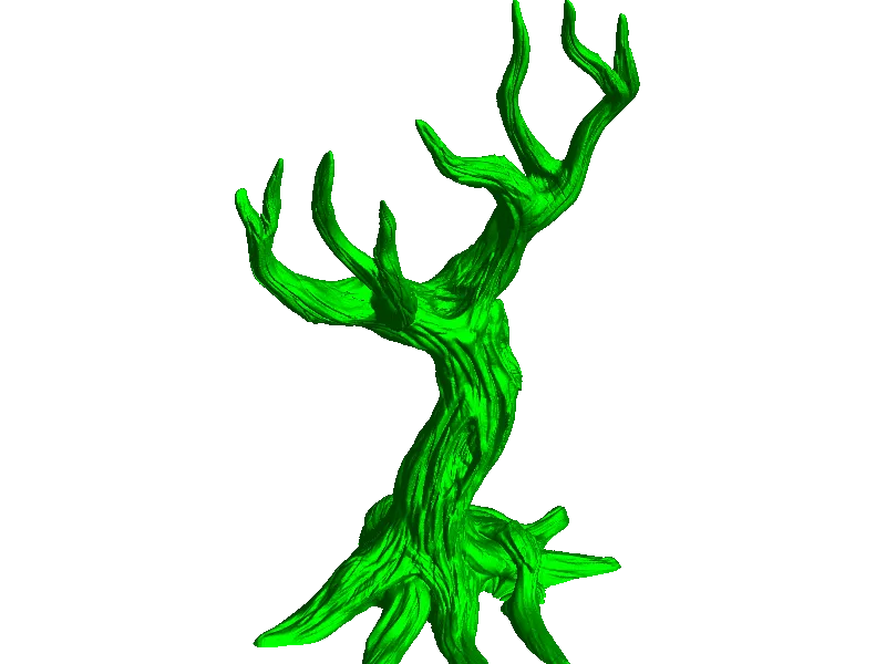arbre