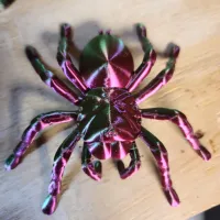 Tarantula Spider-1