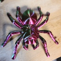 Tarantula Spider-1