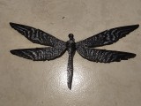 looks like a dragon fly-0
