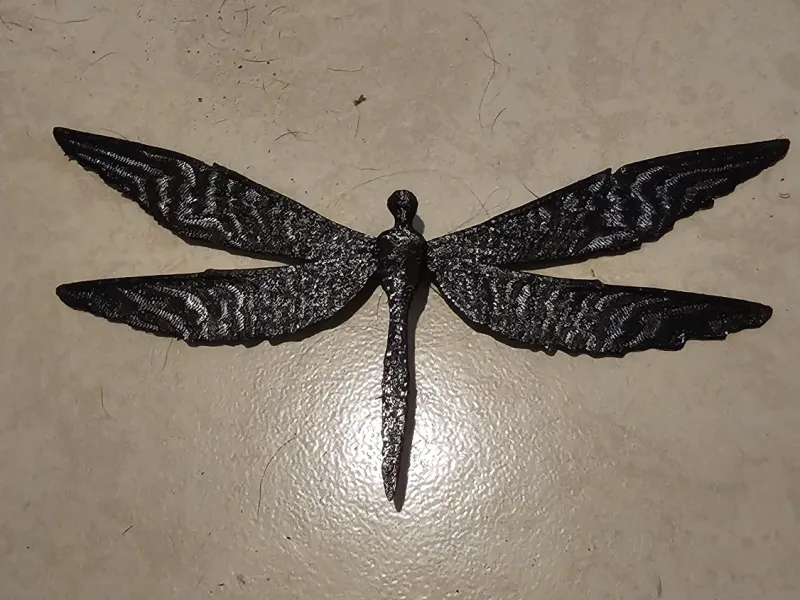 looks like a dragon fly