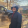 avatar of ShadyTrexx