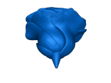 rose-3