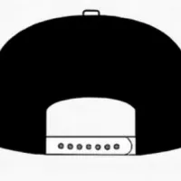 FLAP CAPS-2