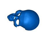 Skull Hide-0