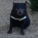 avatar of woowoot