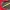 BMW F Series Custom Air Intake Duct – OEM Compatible Design