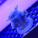 avatar of Jessie Elder