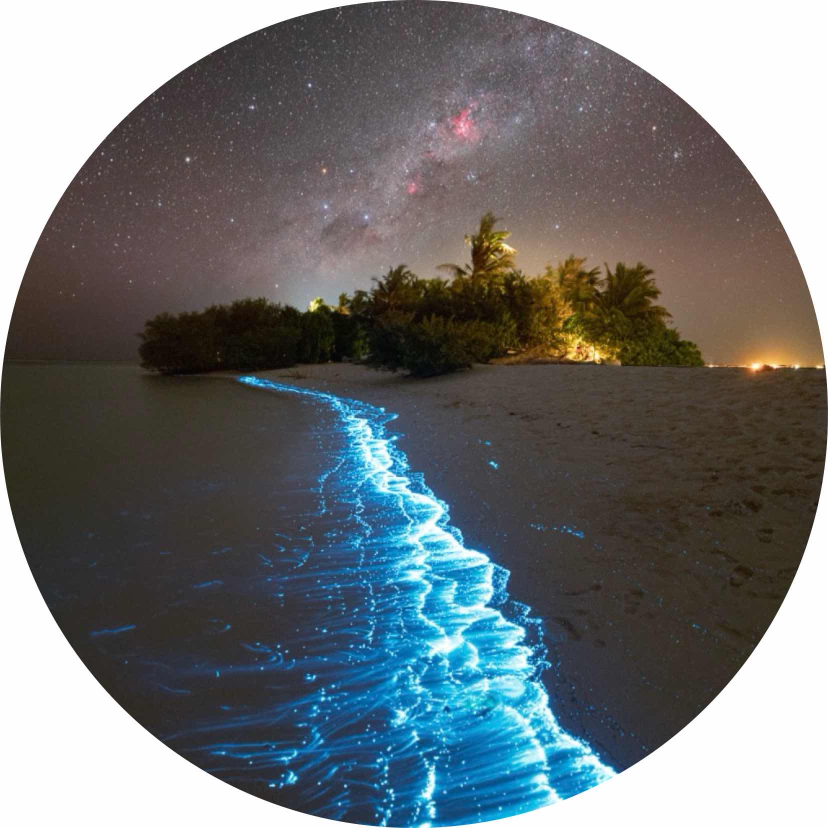 avatar of Jonah0013
