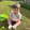 avatar of yesyes
