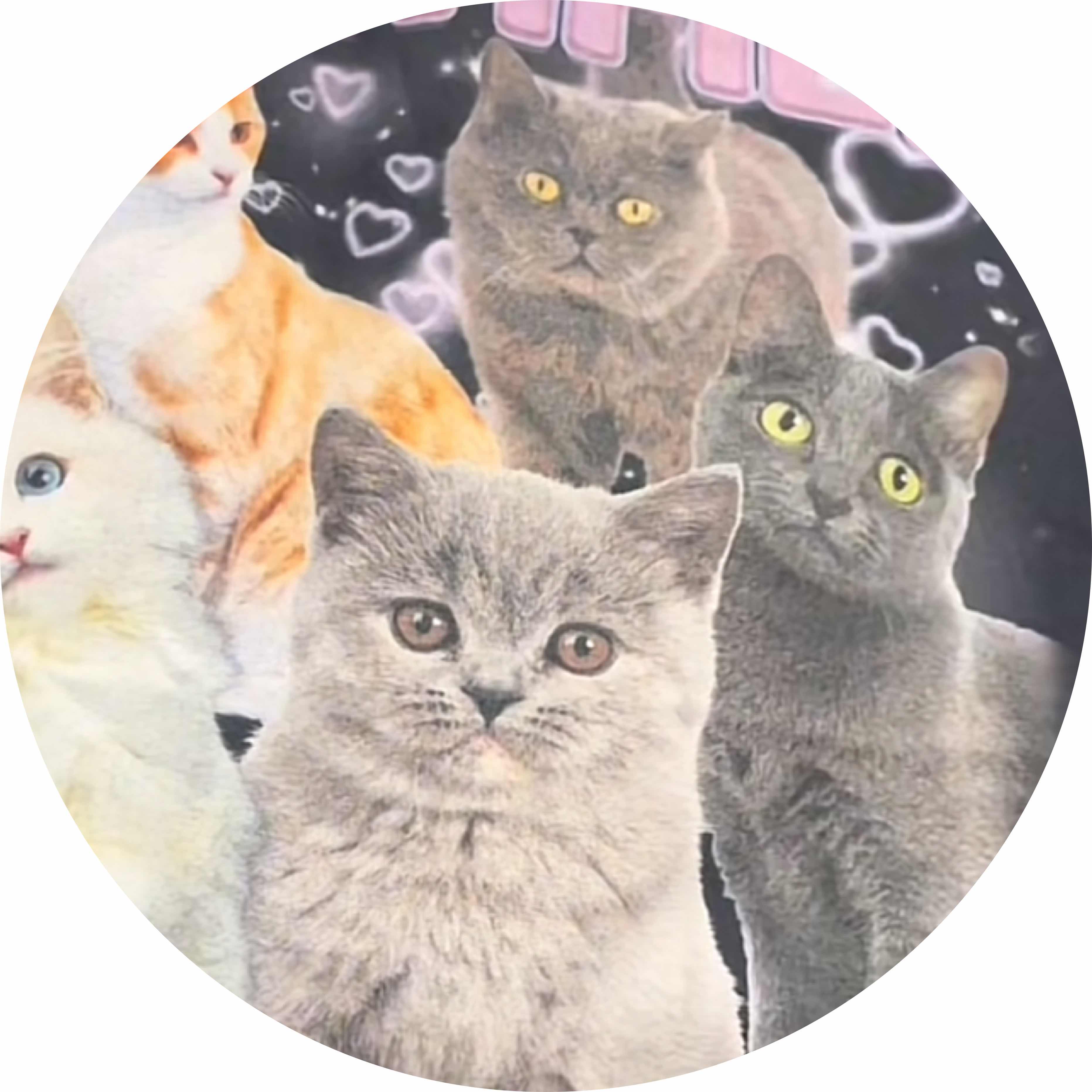 avatar of lamboe