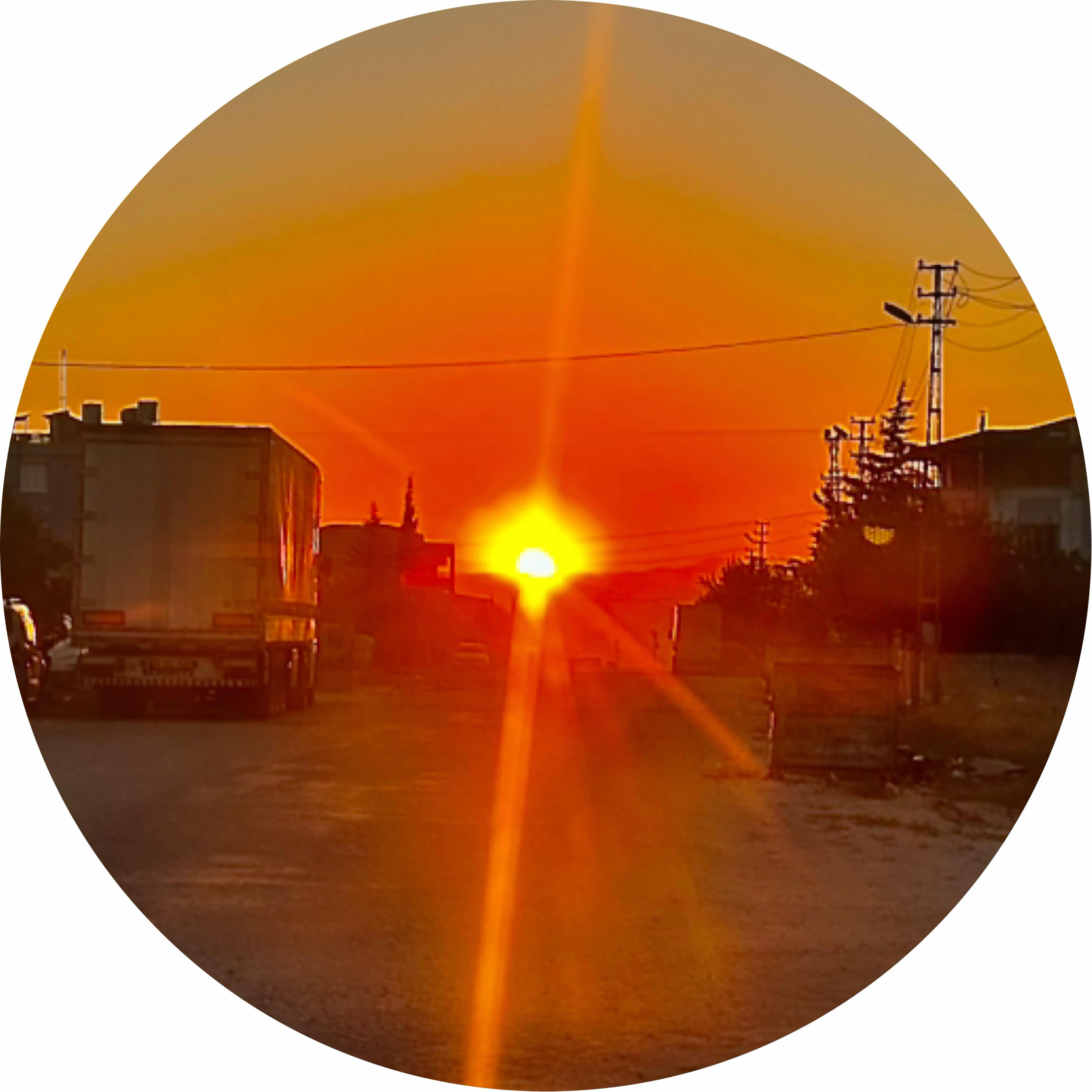 avatar of Alikucuk