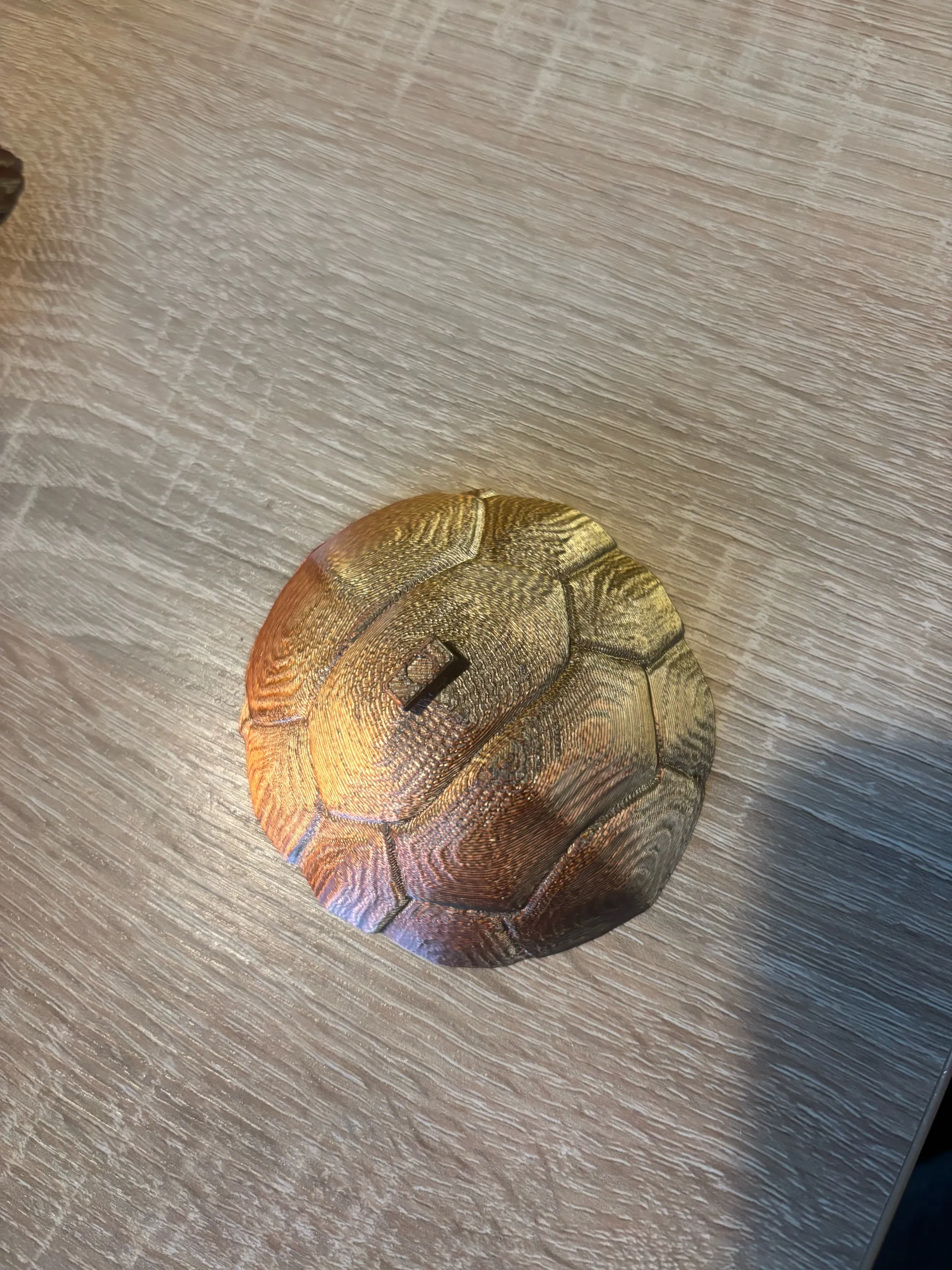 tapa tortuga -1