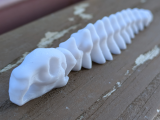 skeleton snake-0