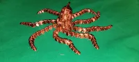 Flexi Steampunk Octopus Long Tentacles (Spiral, Articulated-4