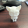 avatar of Karlos3d