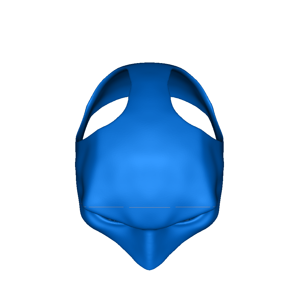 batcat helmet 