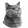 avatar of HappyCat