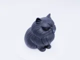 Cute Grumpy Cat.001 Cute Grumpy Cat-2