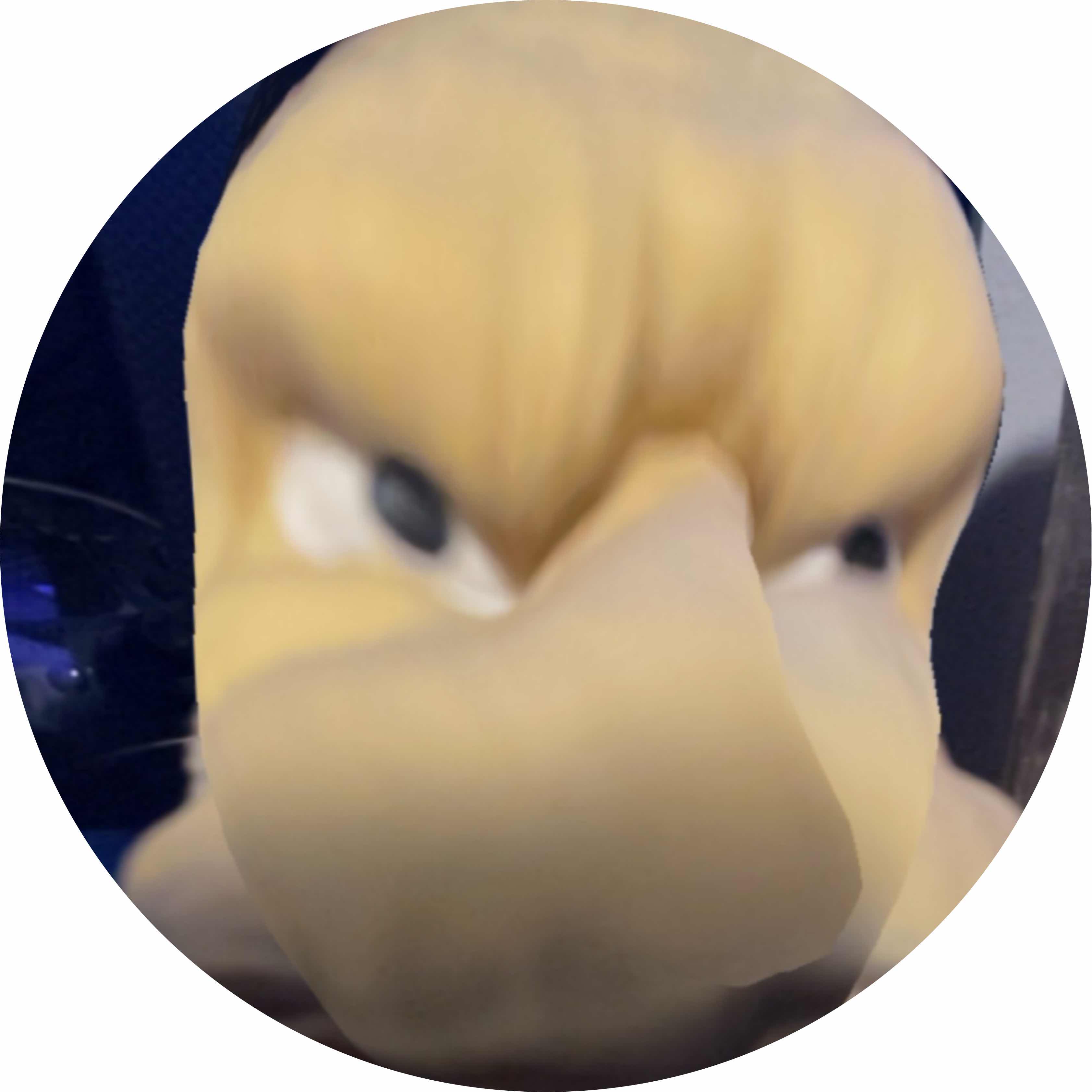 avatar of MackCheesy