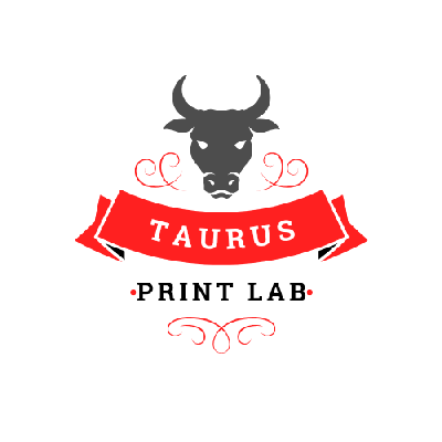 avatar of Taurus Printlab3D