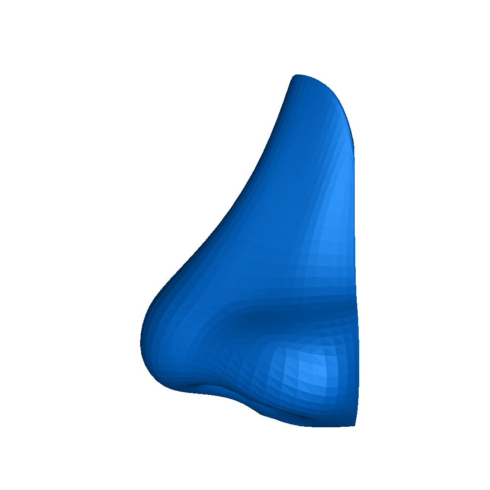 brillenhouder 