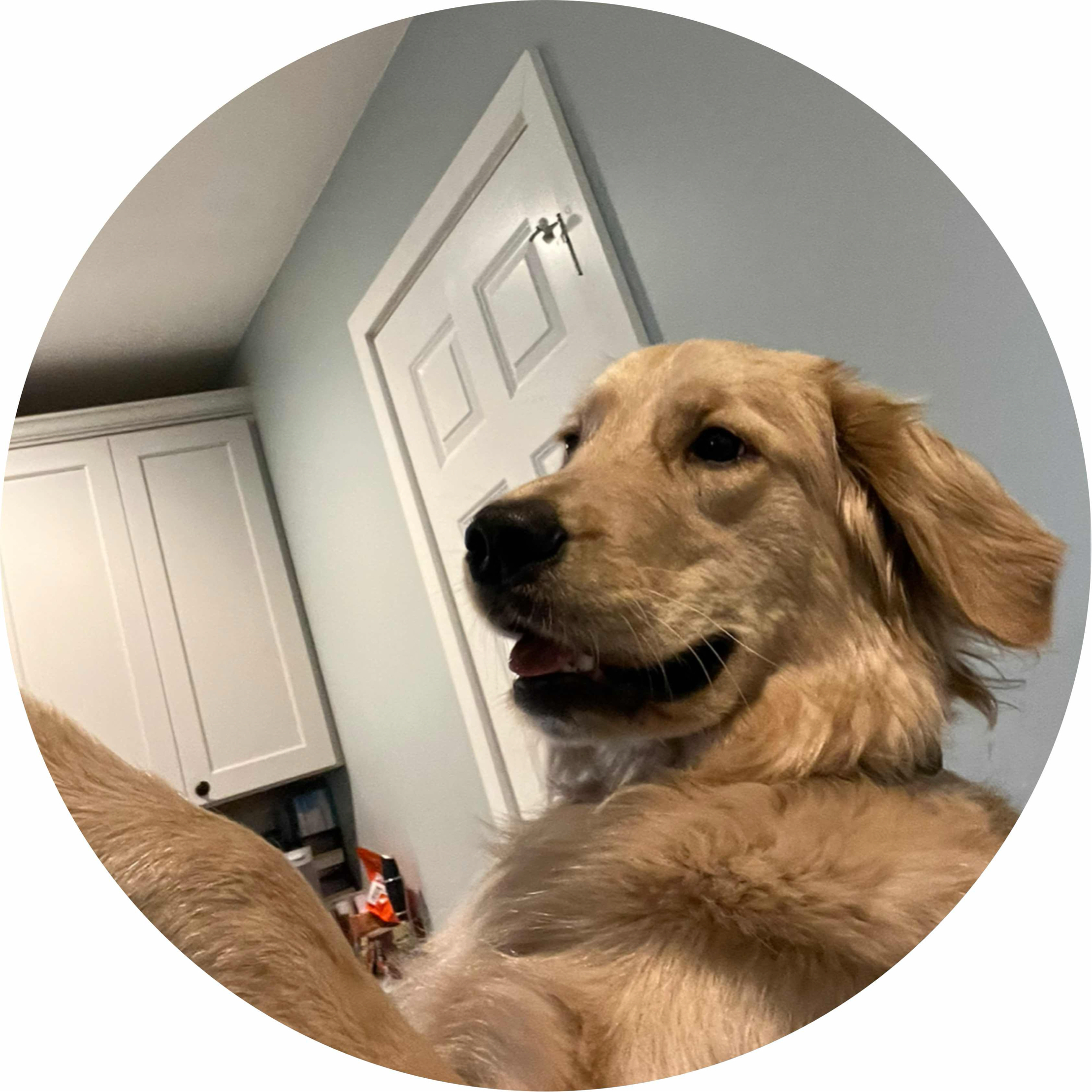 avatar of Gordon12