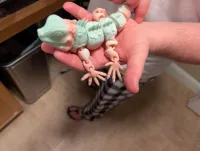 Iguana Figurine - Miniatures - PLA - 3D printed product - фото 27