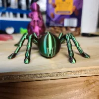 Tarantula Spider-5