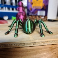 Tarantula Spider-5