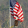 avatar of user5260354935