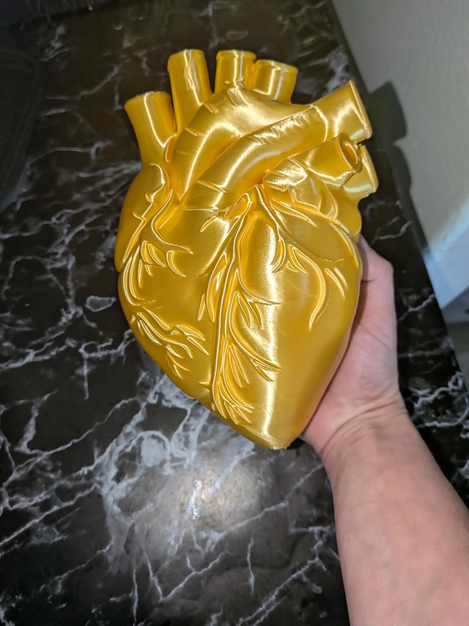 Anatomical Human Heart Model STL-0