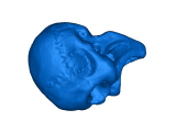 skull-0