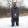 avatar of Craft3dbyD3sign