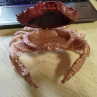 crab case-2