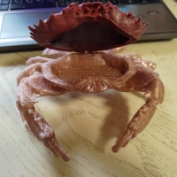 crab case-2