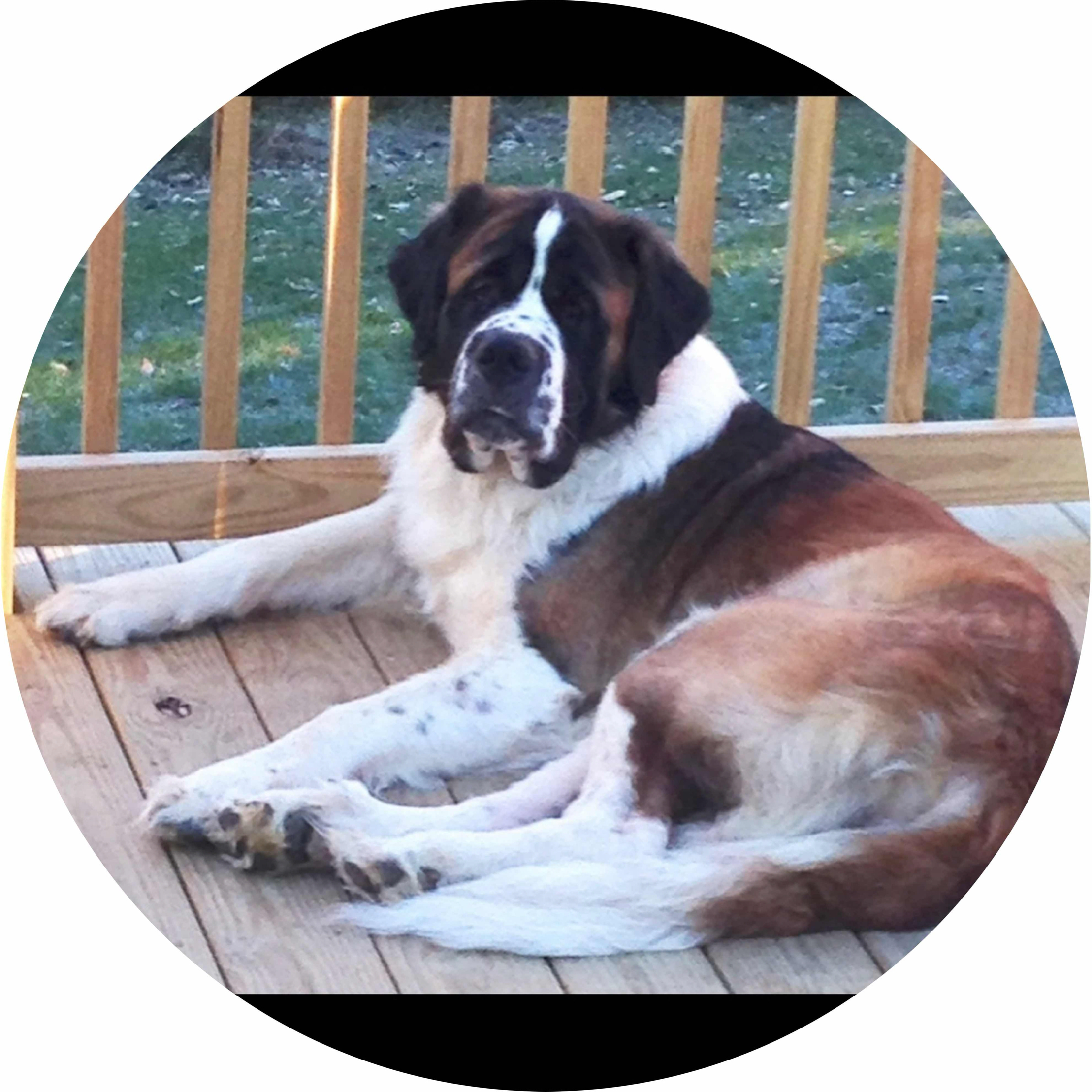 avatar of PrintDaddy2024