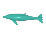 dolphin-0