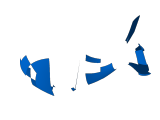 whale-0