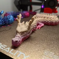 Articulated Dragon-1
