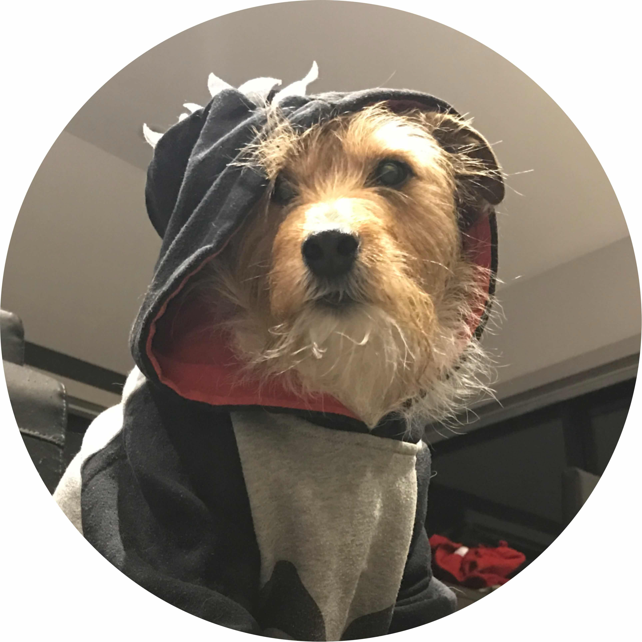 avatar of BusyFingers