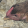 avatar of Chikndady82