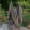 avatar of user1046205354
