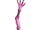 alien arm-0